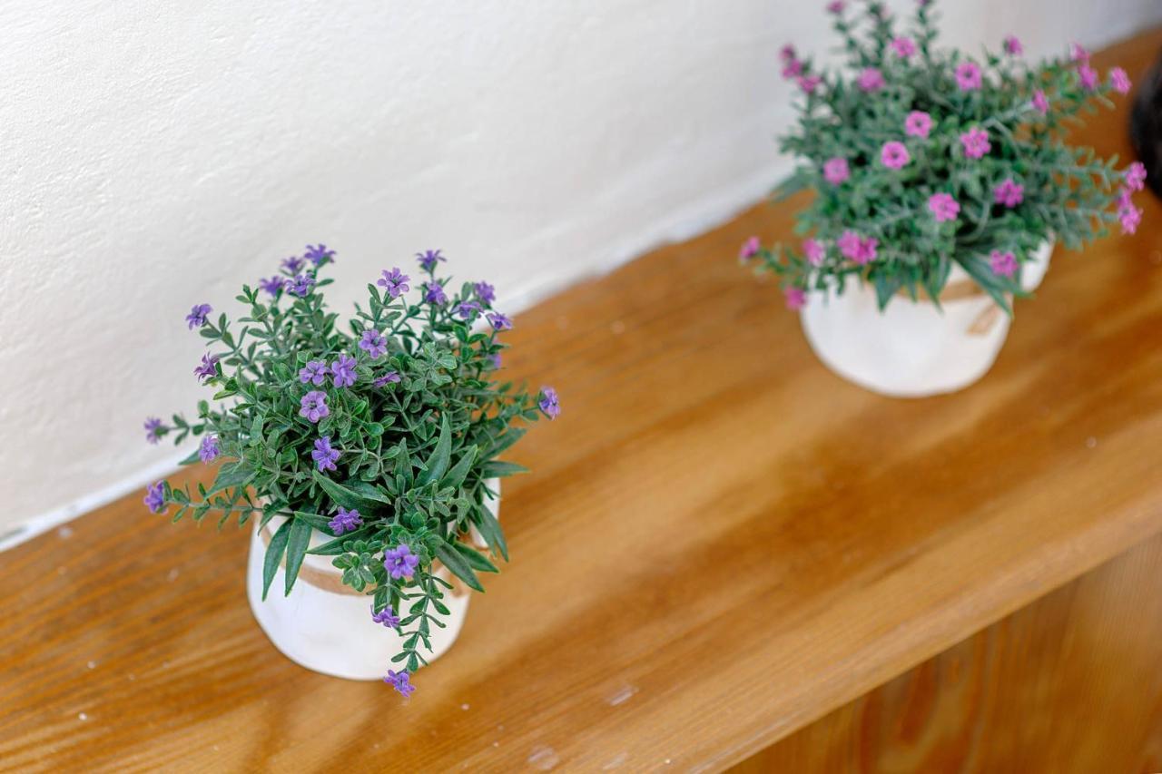 Sibenik Soul Apartment Ngoại thất bức ảnh